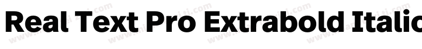 Real Text Pro Extrabold Italic字体转换